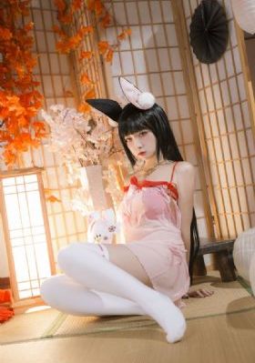半是蜜糖半是伤电视剧免费完整版
